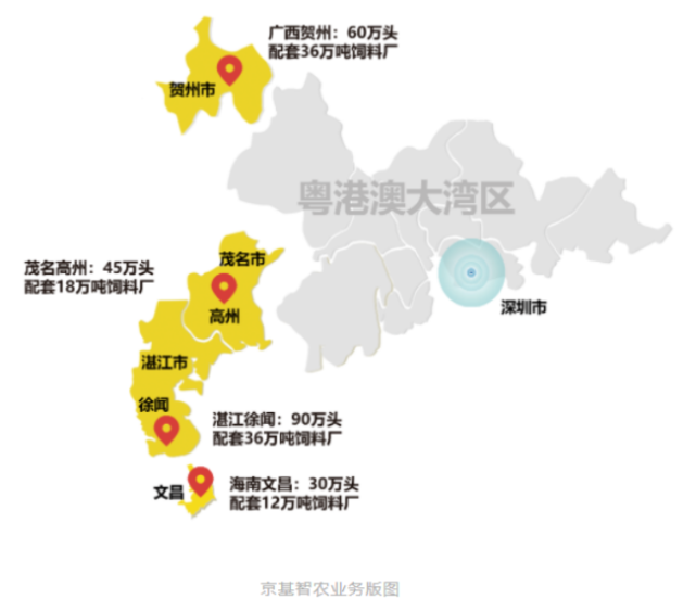三年生猪破百万2022年业绩大涨,京基智农备受机构看好