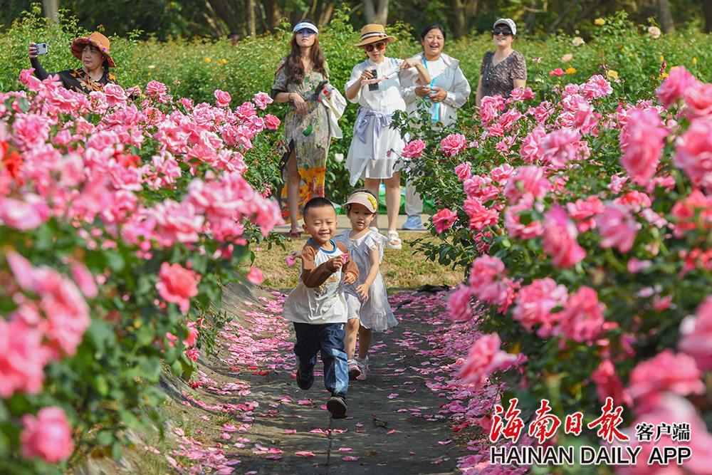 　　3月15日，市民游客趁着春色正好，来到吉阳区博后村玫瑰谷踏青赏景，畅享“玫”好时光。海南日报记者 王程龙 摄