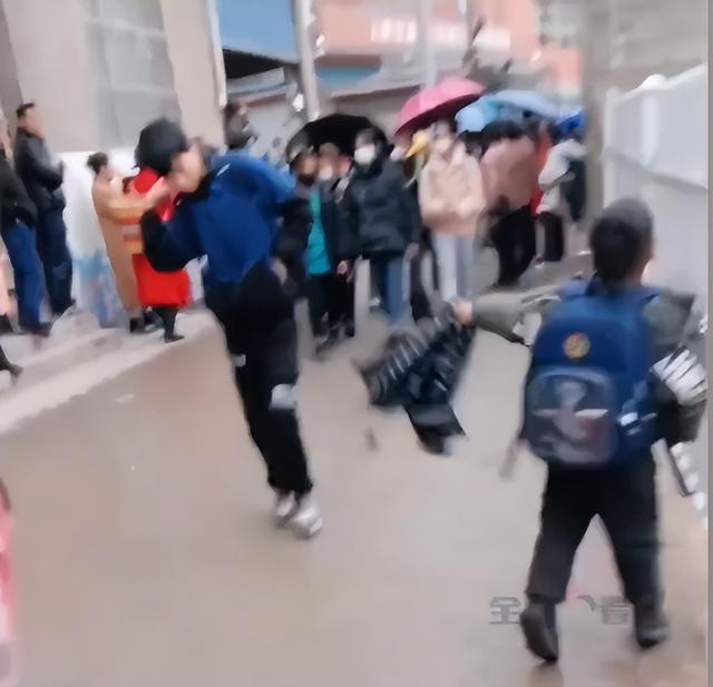 （来源：九派新闻综合十堰广播电视台、网友评论）