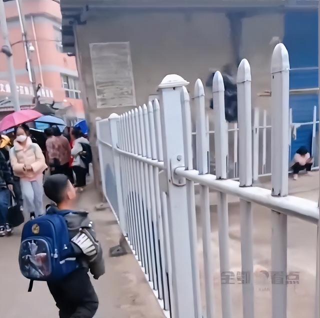 （来源：九派新闻综合十堰广播电视台、网友评论）