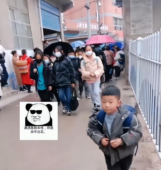 （来源：九派新闻综合十堰广播电视台、网友评论）