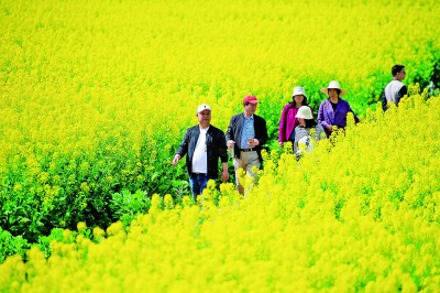 湖南省长沙市鼎城区十美堂镇紫流村,游客在油菜田间游玩。新华社发
