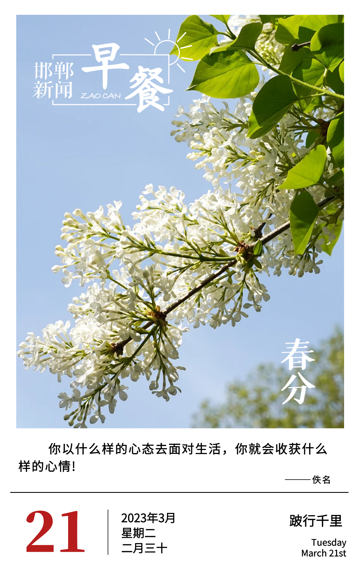 dbdc-7b7c9107c9ac18ca76215b6d6f67bbee.png
