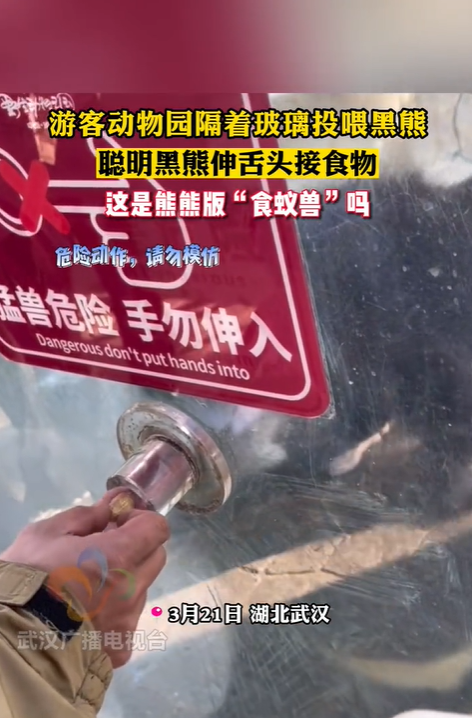 【来源：武汉广播电视台】