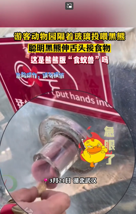 【来源：武汉广播电视台】