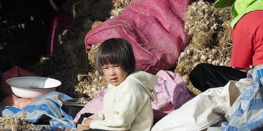 泰国村庄里做着农活的儿童。据美国国务院估算，泰国有17.7万名非法童工。（图源：社交媒体）