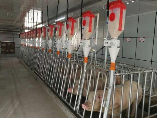 我国生猪养殖业发展概况及趋势