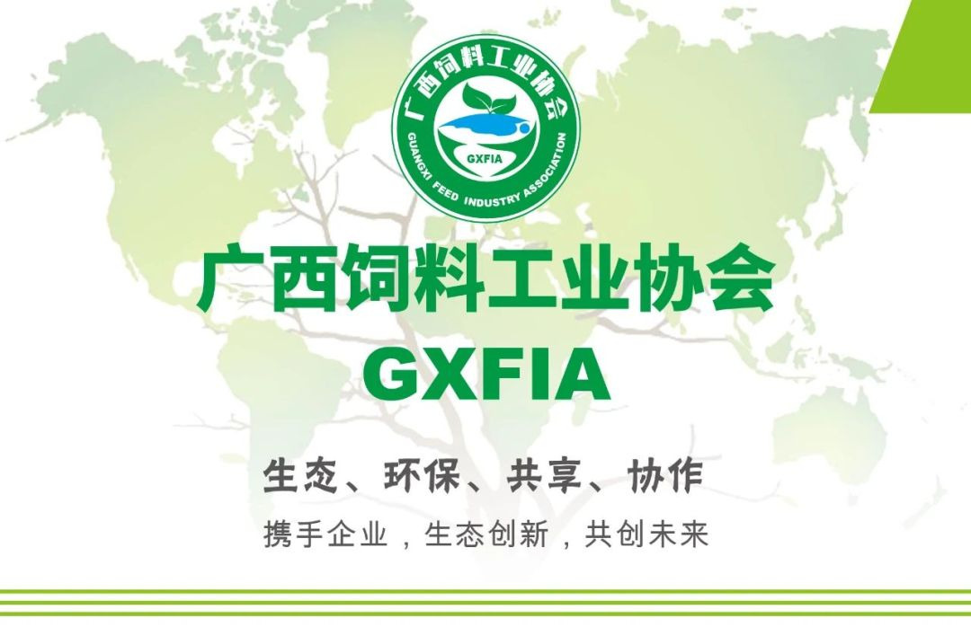 赋能行业谱新篇，广西在行动！