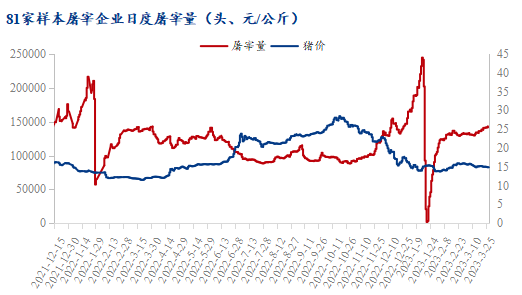 Mysteel解读：猪价持续磨底 行情改观只差天时地利人和