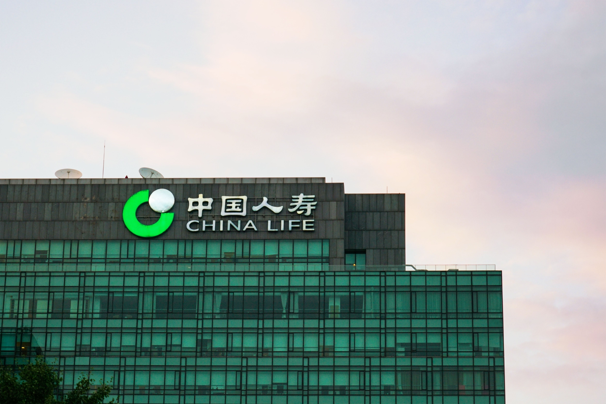 中国人寿去年净利润320.8亿元，总销售人力同比下滑18.5%