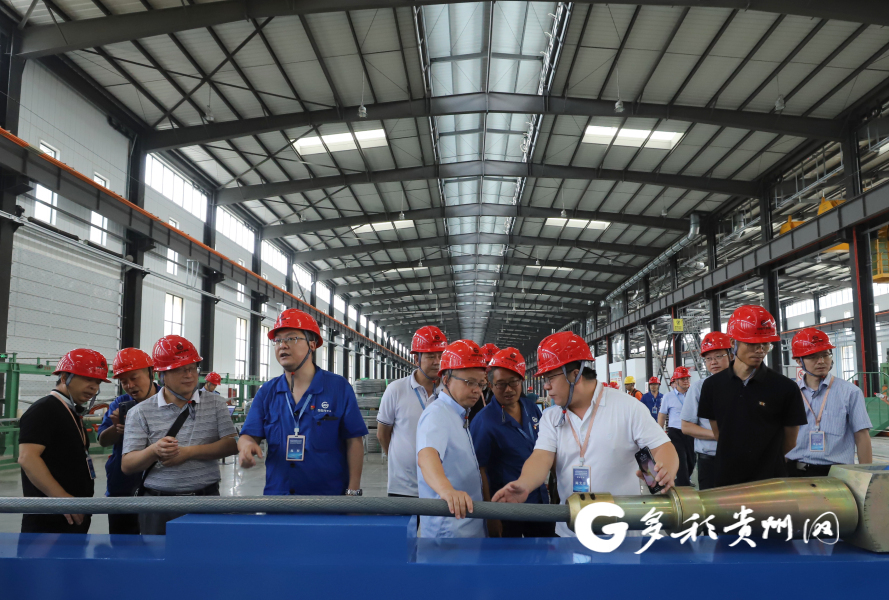 评审专家团队对高强度镀锌铝稀土合金密封钢丝绳吊索进行评估