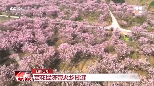 旅游市场强劲复苏 各地推动深度融合模式