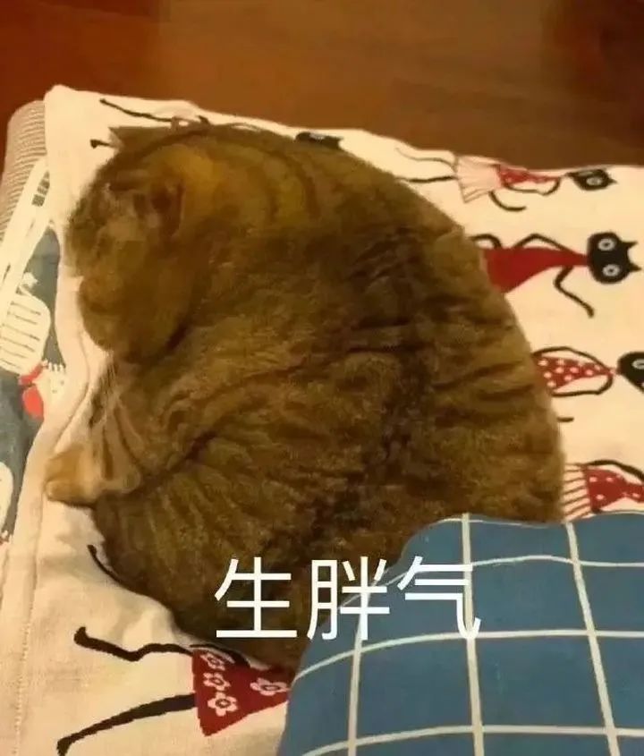 阳光沙雕文案,阳光沙雕文案短句