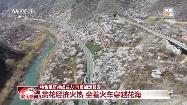 各地特色经济持续发力 消费加速复苏