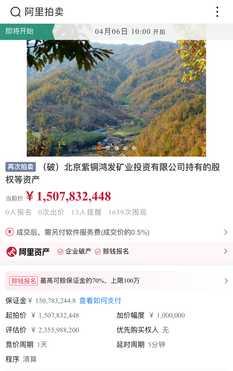 图片来源:阿里拍卖平台