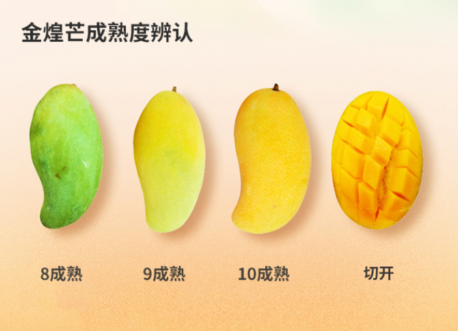 芒果怎么保存能放得久 46e7-37a0e46731eb89f4fe24e1732b019490.png