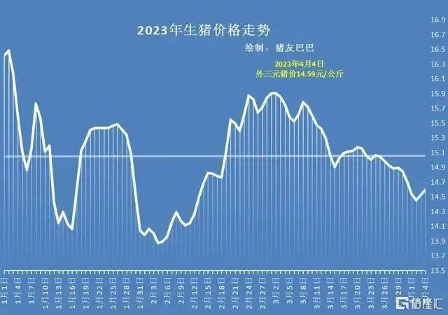 4连涨！新五丰、播恩涨停，温氏、巨星等猪肉股大涨！多省猪价开启上涨...