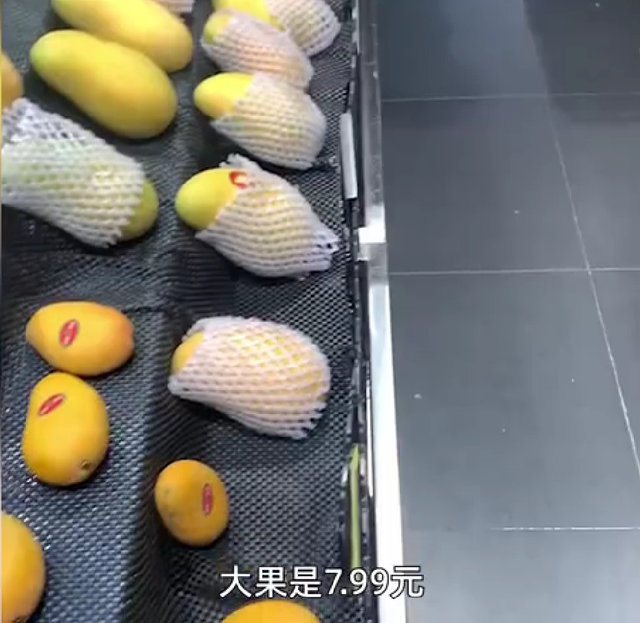 【来源：西部决策】