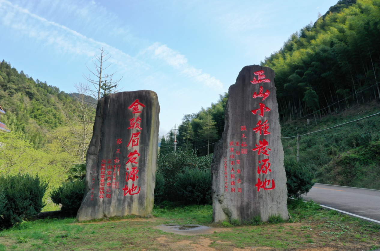 武夷山桐木:正山小种发源地、金骏眉发源地石碑