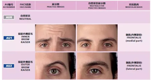 来自《面部表情解剖学》