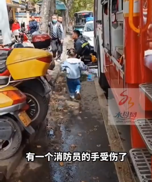 【来源：九派新闻综合水母网】