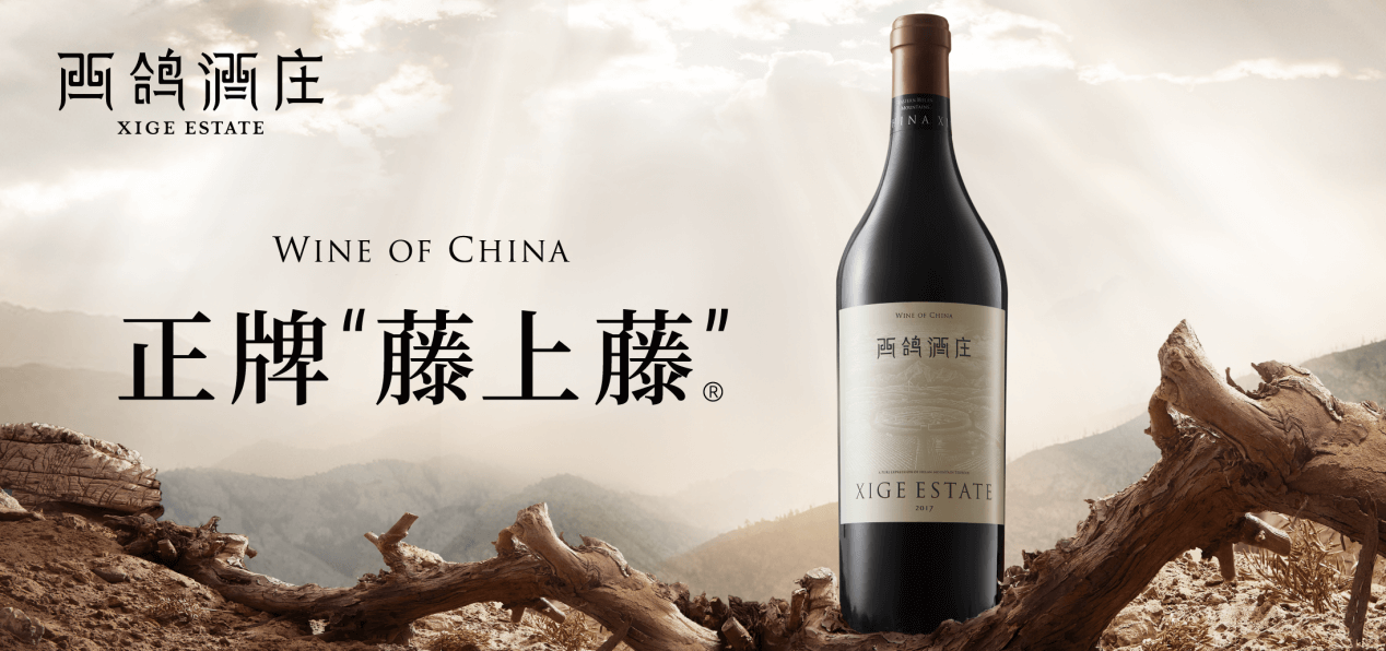 融資丨「西鴿觀蘭集團」再獲數千萬元A+輪融資,第3張 融資丨「西鴿觀蘭集團」再獲數千萬元A+輪融資,第3張