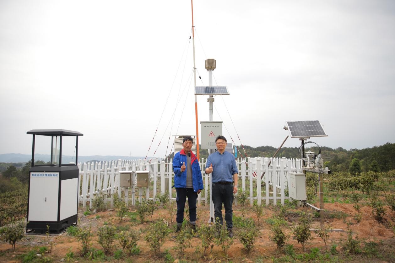 群星“百鸟峥茗”茶园基地物联网设备基站