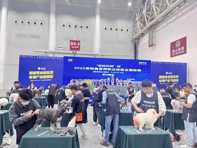 比赛现场。图/九派新闻 杨冰钰