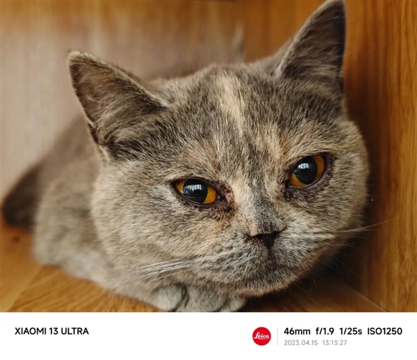 12-240四摄8焦段!小米13 Ultra影像功能深度解析