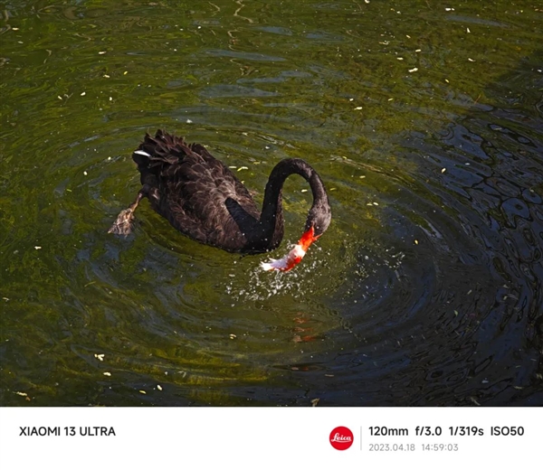 12-240四摄8焦段!小米13 Ultra影像功能深度解析