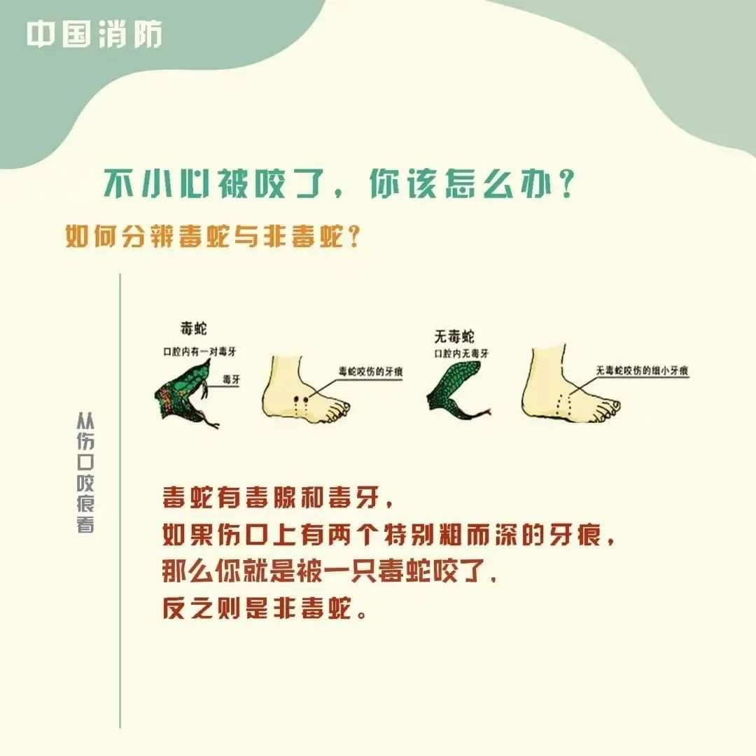 （来源：中国消防 武汉消防）