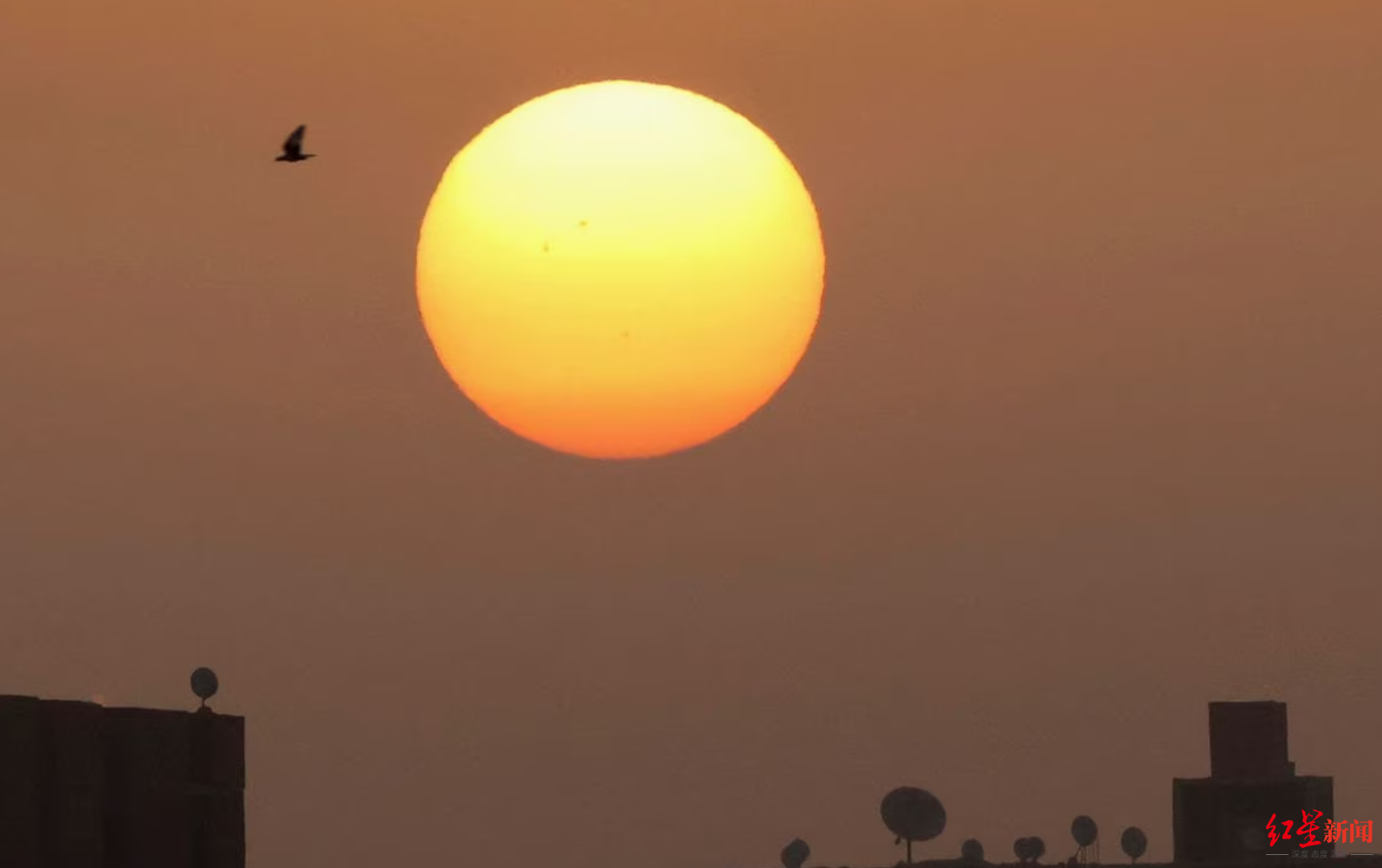 ↑埃及一地遭受太阳暴晒