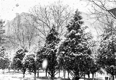 靖边下起鹅毛大雪