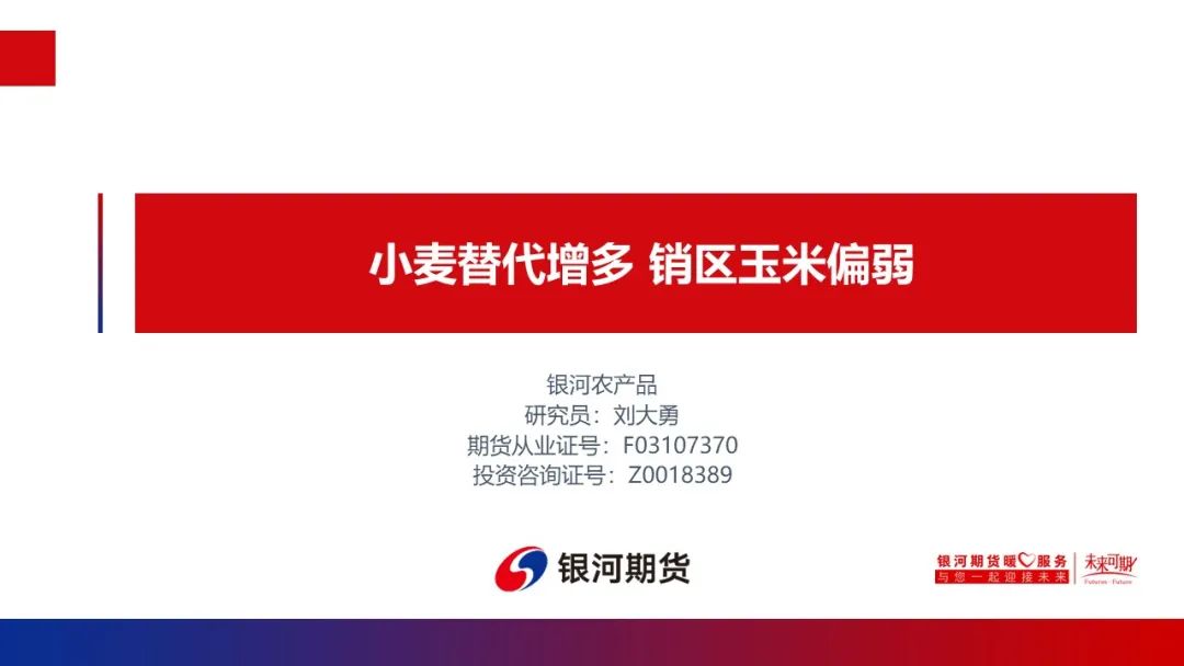 【玉米周报】小麦替代增多 销区玉米偏弱