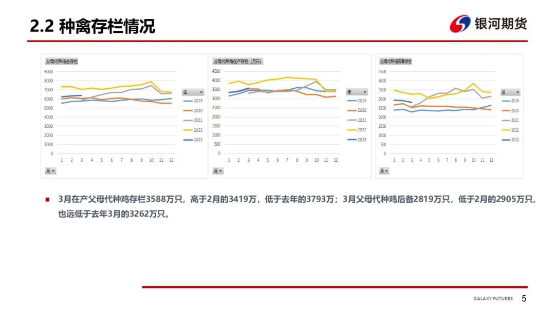 【鸡肉周报】鸡苗和肉鸡进入下跌通道 肉鸡分割品偏弱