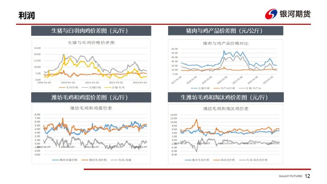 【鸡肉周报】鸡苗和肉鸡进入下跌通道 肉鸡分割品偏弱
