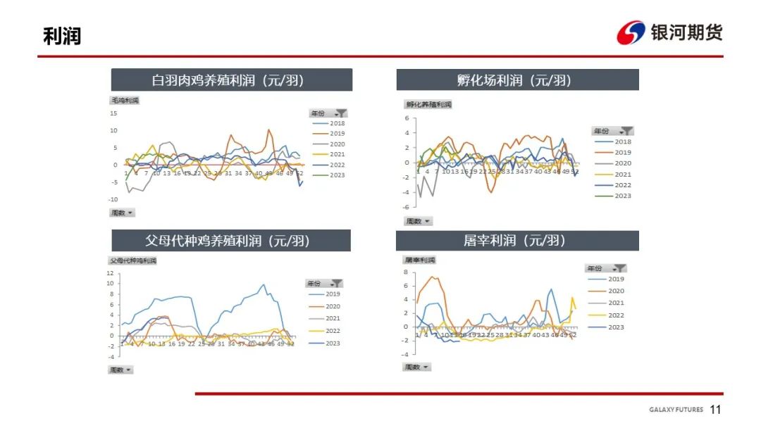 【鸡肉周报】鸡苗和肉鸡进入下跌通道 肉鸡分割品偏弱