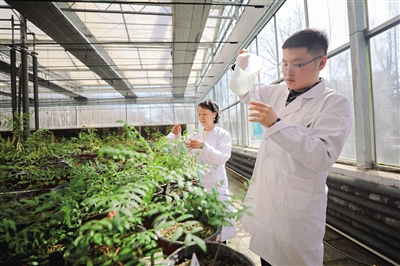 内蒙古农业大学学生参与科学实验