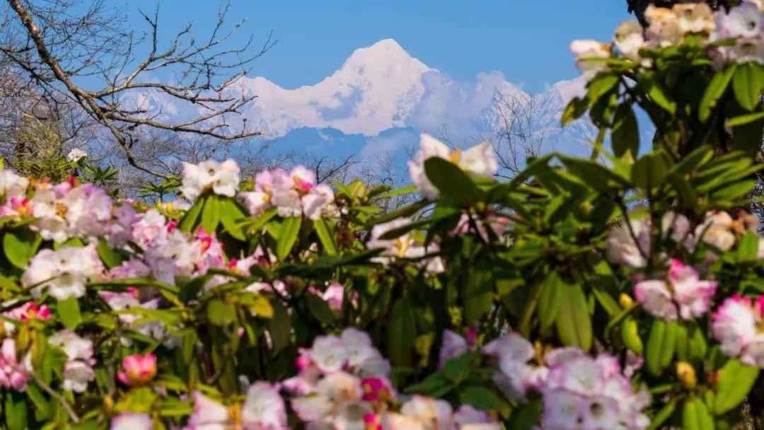 图:王岗坪景区