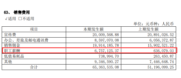图片来源:公司2022年年报