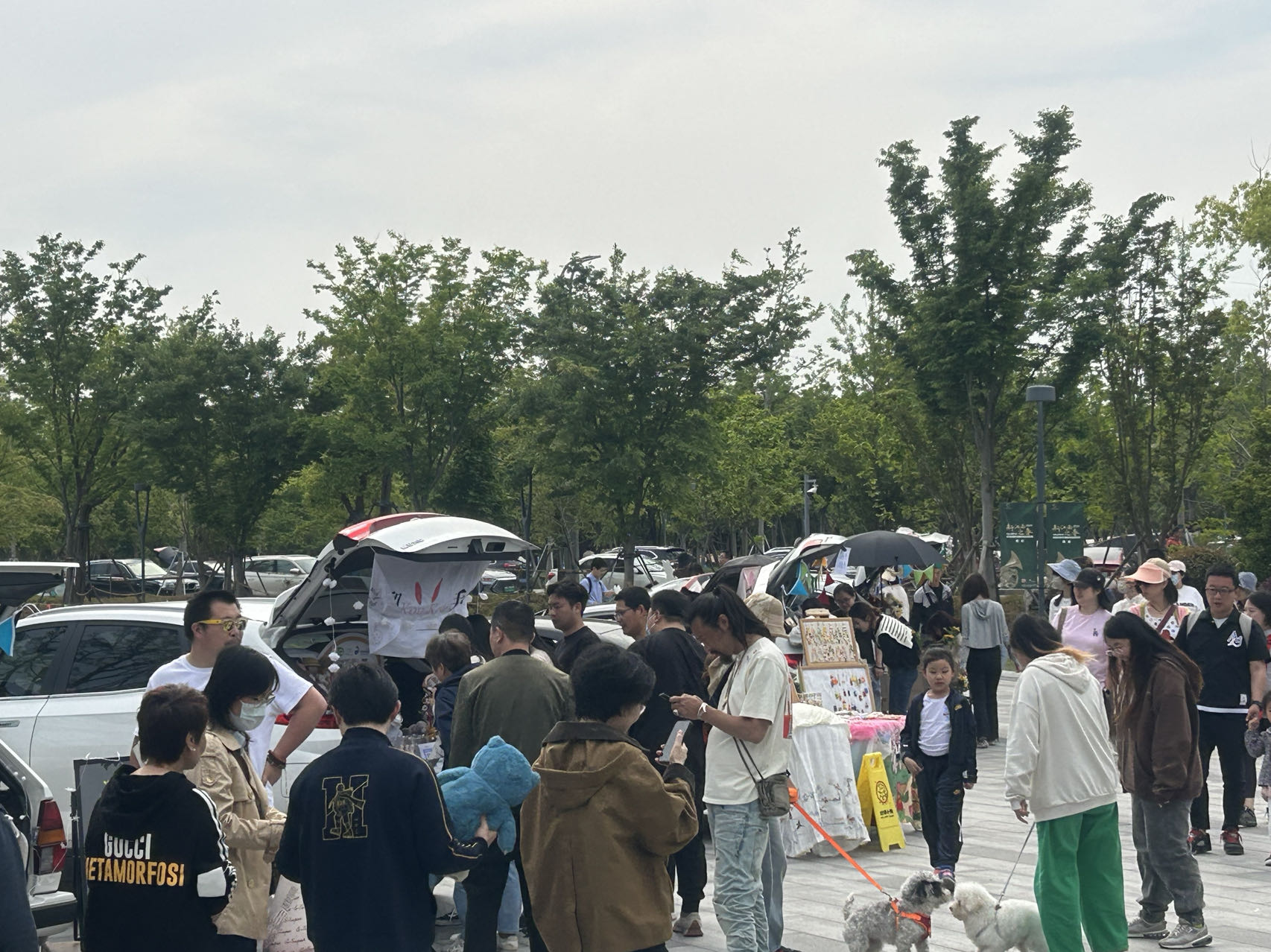 汽车后备箱市集热闹非凡。劳动报记者 胡玉荣 摄影