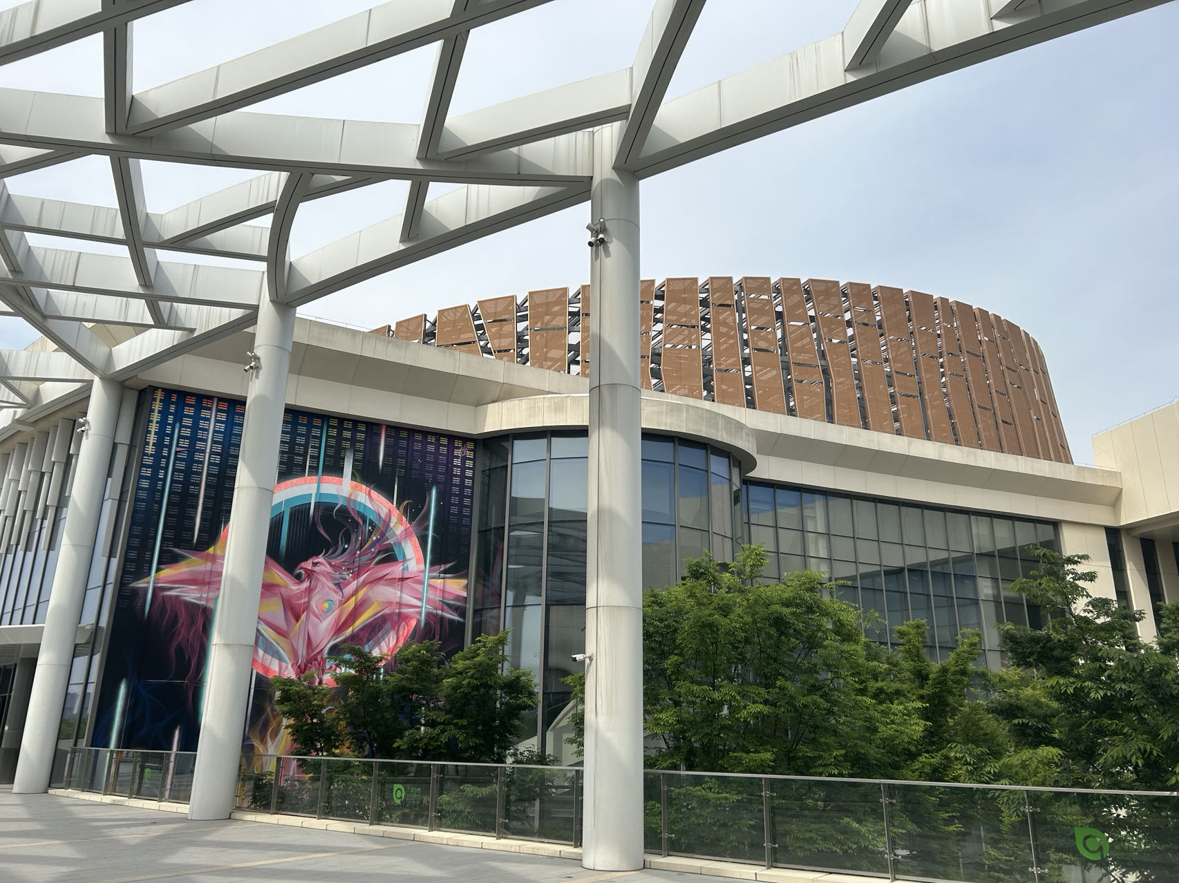 藏在森林中的“九棵树”。劳动报记者胡玉荣 摄影