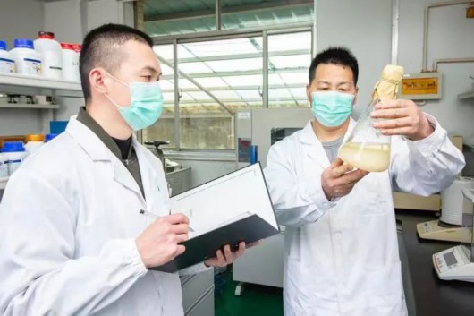 蘑菇加工企业 4e09-e0f5be365040574eafb645f78a54d9cf.jpg