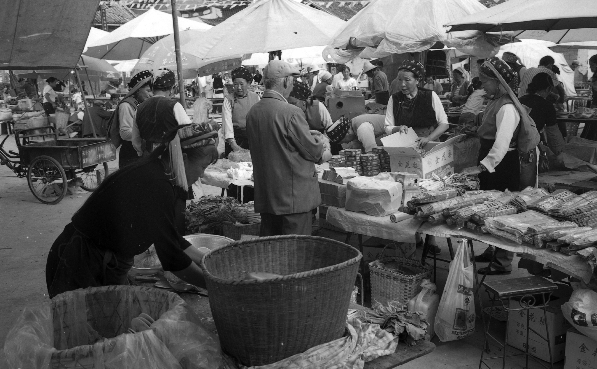 我，大理人，被网红“挤”出古城