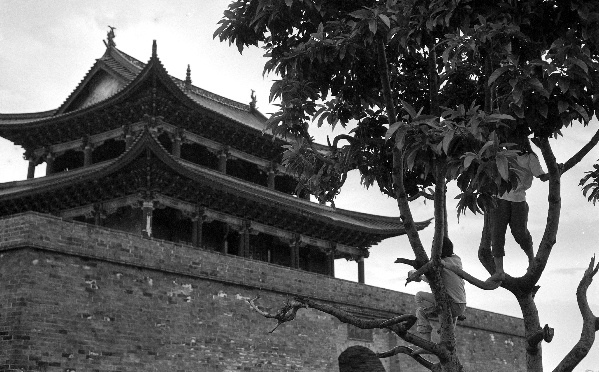 我，大理人，被网红“挤”出古城