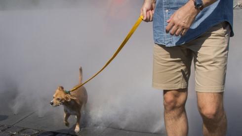 多项指标预警，全球气候还将剧变|树线图