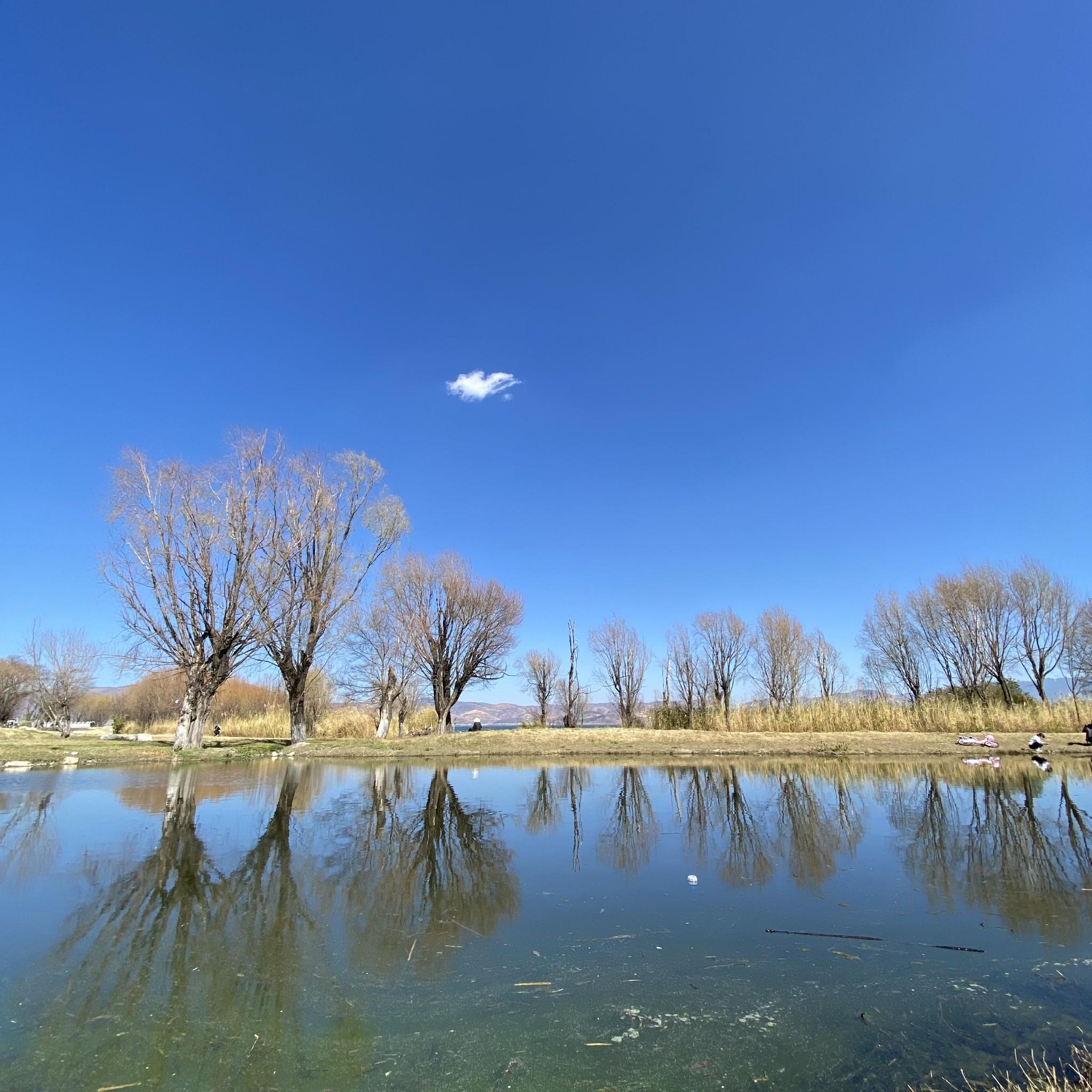 我，大理人，被网红“挤”出古城