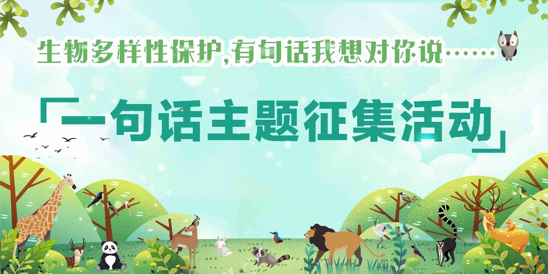 什么是生物多样性的基本内容 68a6-6cf887e0b951cfbae1cd03848bf21fac.jpg