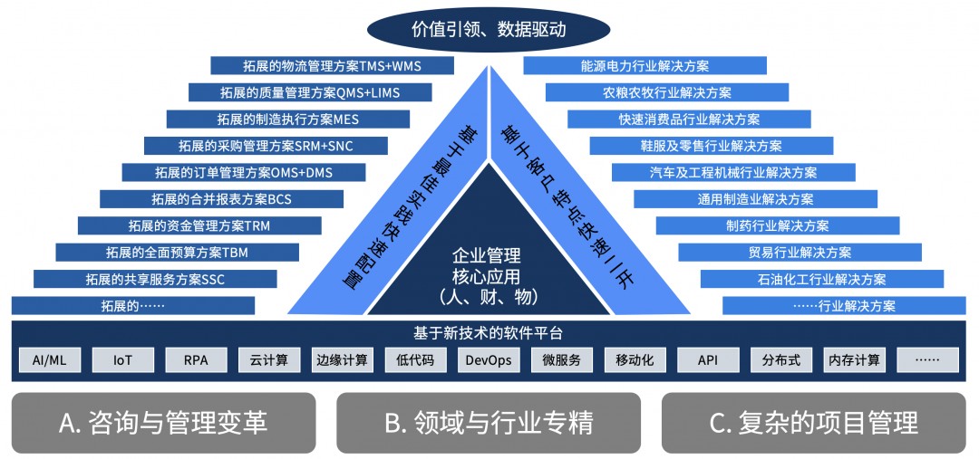 图：高端ERP的典型特点