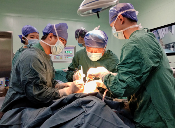 女性乳房良性肿瘤,乳腺良性肿瘤是什么症状-第1张图片 女性乳房良性肿瘤,乳腺良性肿瘤是什么症状-第1张图片